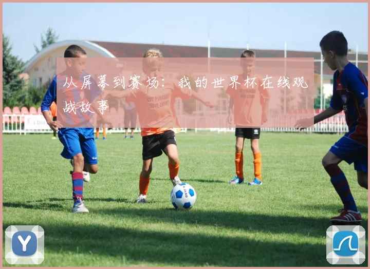 从屏幕到赛场：我的世界杯在线观战故事